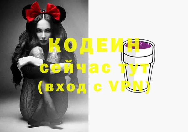 стафф Заводоуковск