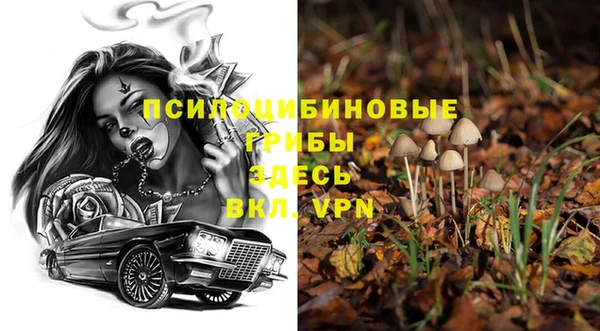 прущая мука Заволжск