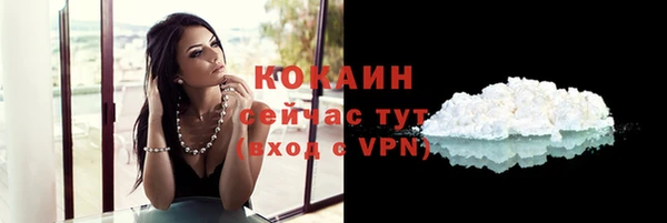 стафф Заводоуковск