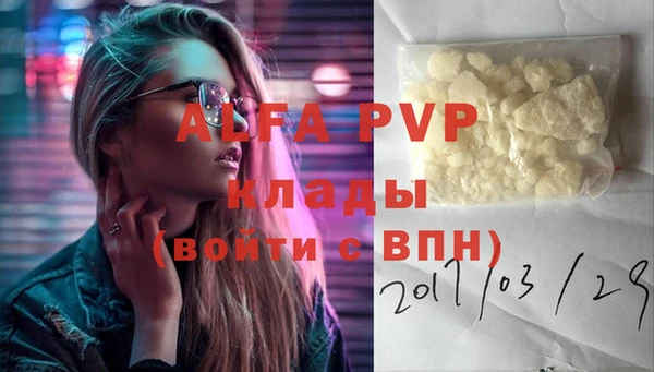 стафф Заводоуковск