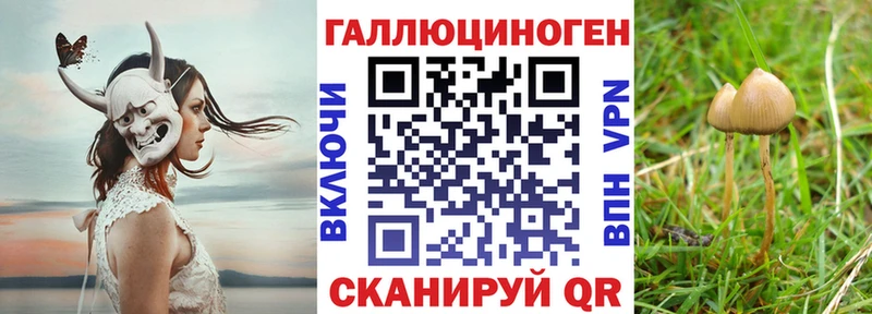 Псилоцибиновые грибы мухоморы  Зубцов 